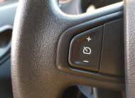 RENAULT Kangoo profesional