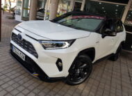 TOYOTA rav4 hibrido