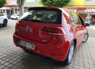 VOLKSWAGEN Golf Business