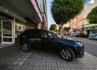 TOYOTA rav4 HYBRID luxury
