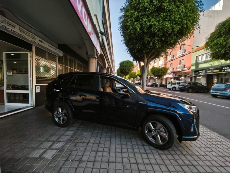TOYOTA rav4 HYBRID luxury