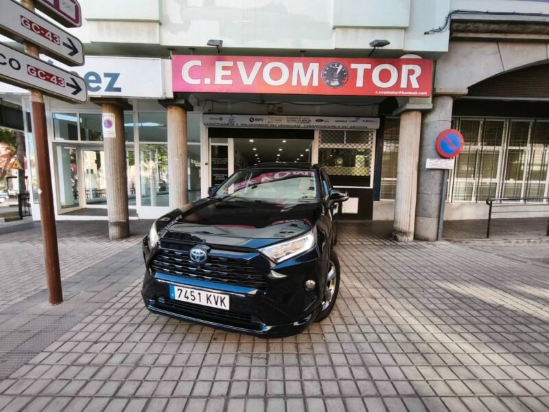 TOYOTA rav4 HYBRID luxury