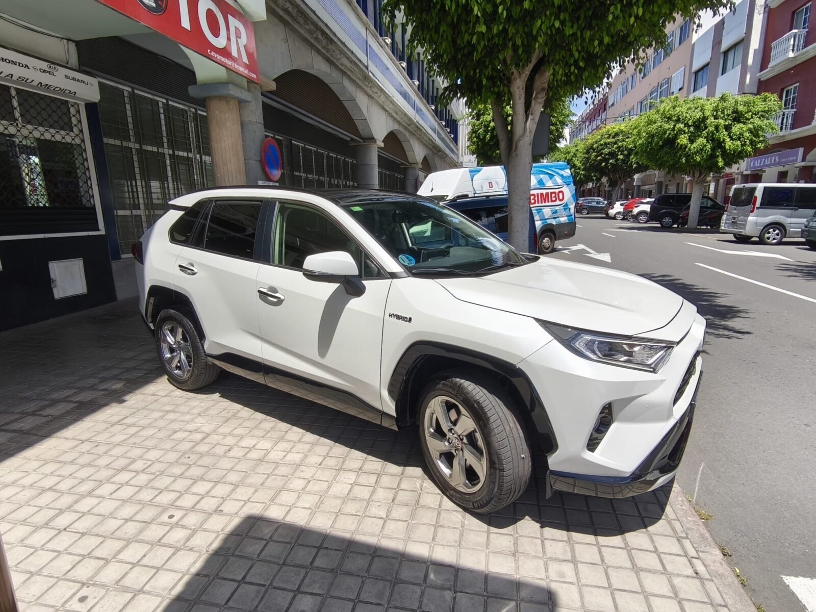 TOYOTA RAV4 LUXURY