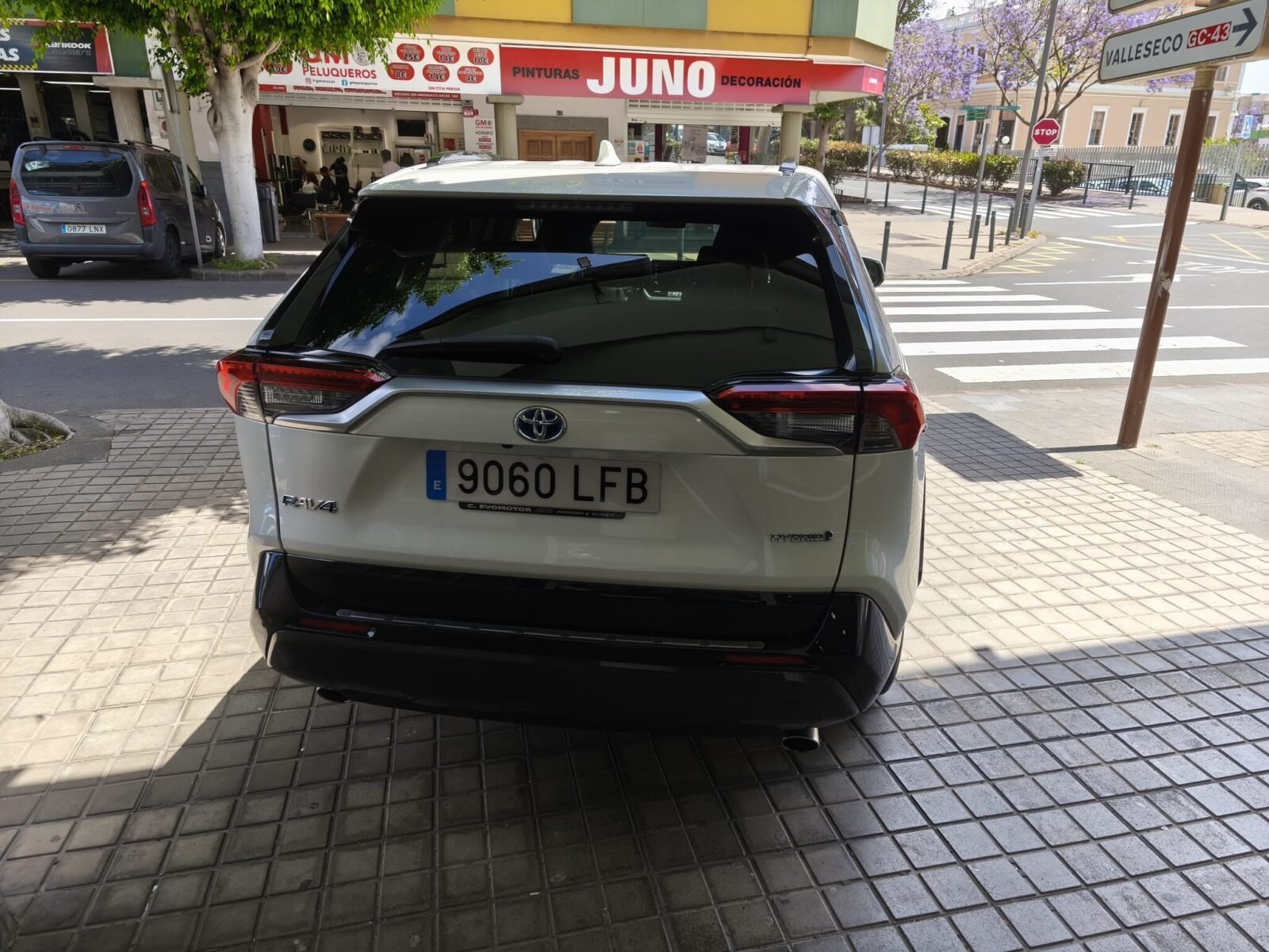 TOYOTA RAV4 LUXURY