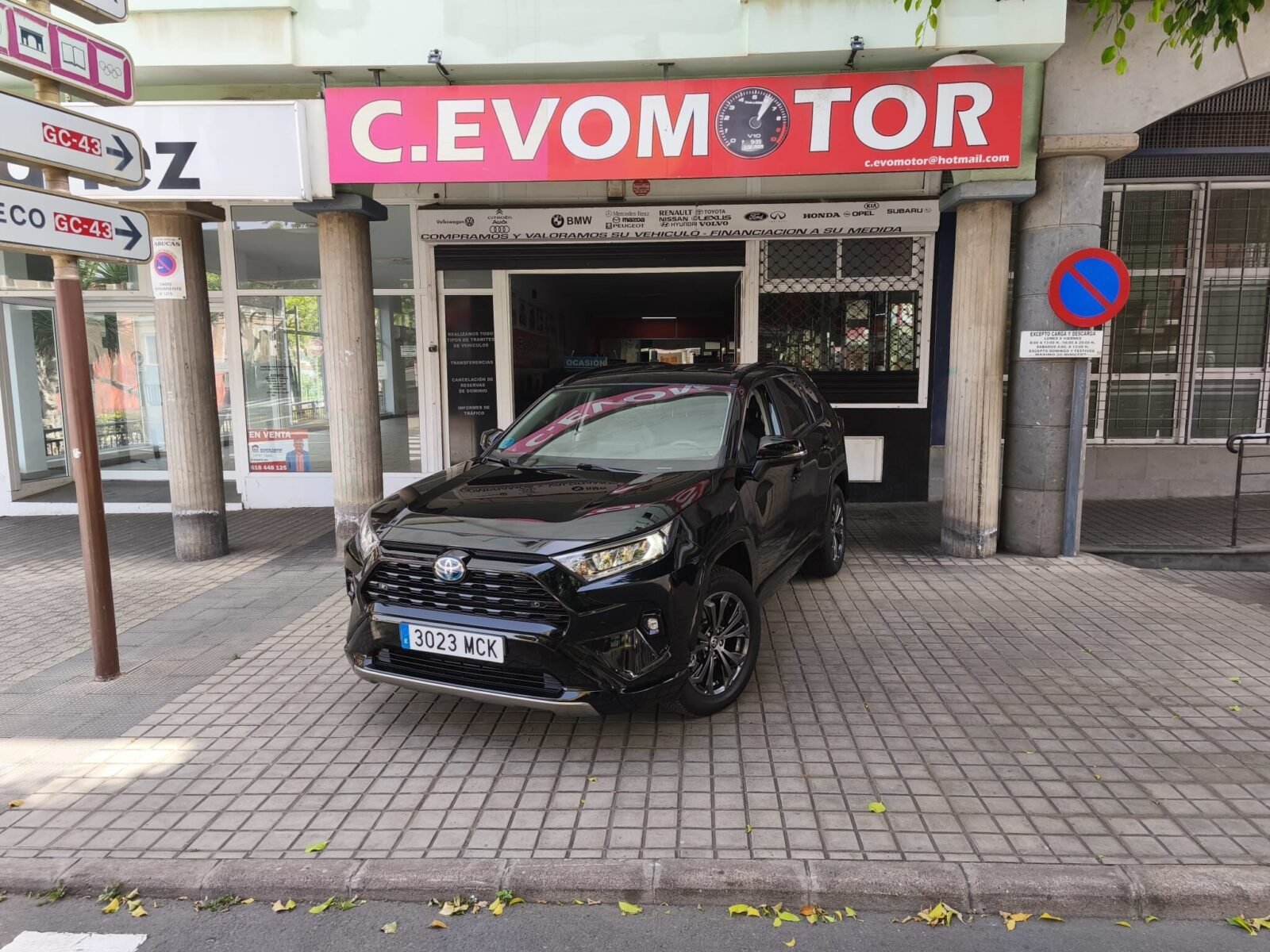 TOYOTA RAV4 LUXURY